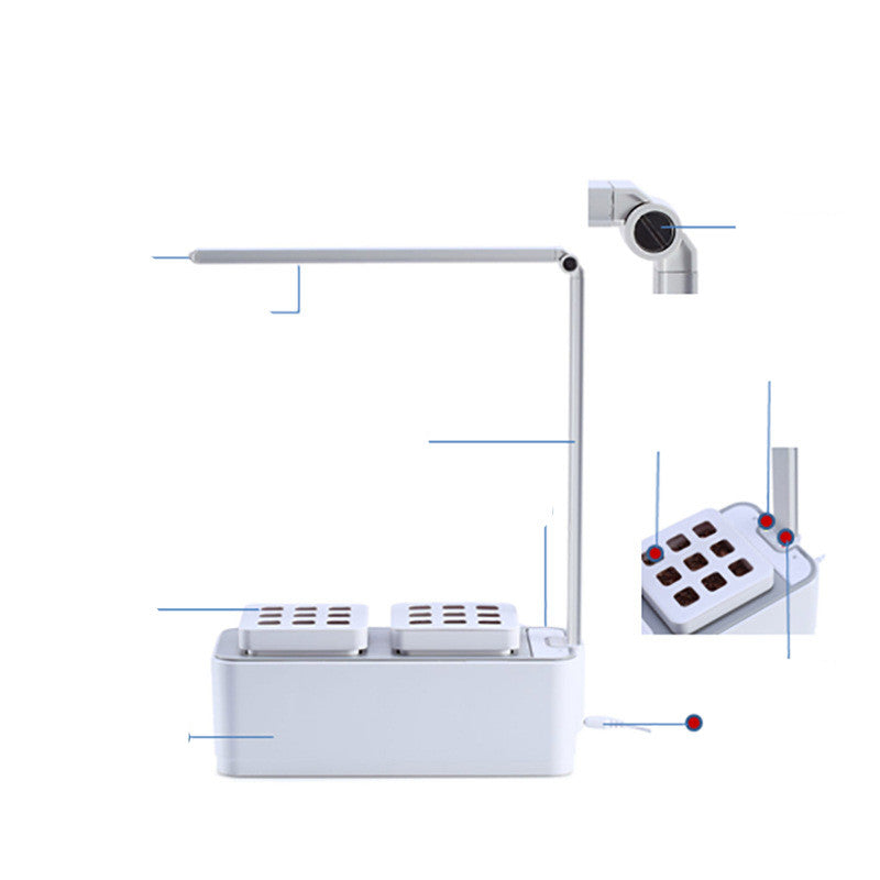 Avora Plant Care Essential