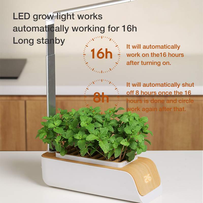 Kruiden kweken op je bureau: hydroponics + bureaulamp in één slimme setup