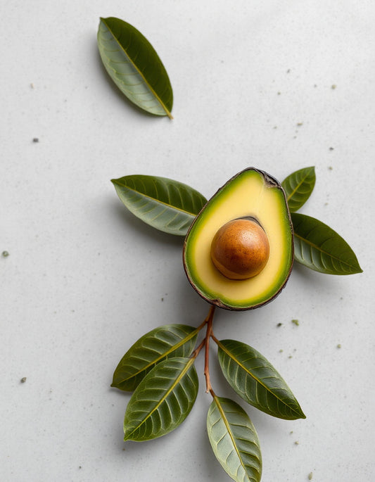 Avora Nature E-Book: De Kracht van Natuurlijke Gezondheid