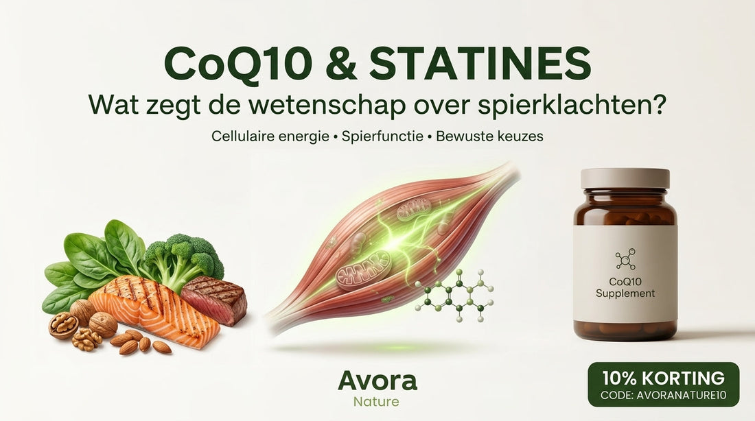 CoQ10, statines en spierklachten: wat zegt de wetenschap over deze belangrijke voedingsstof?
