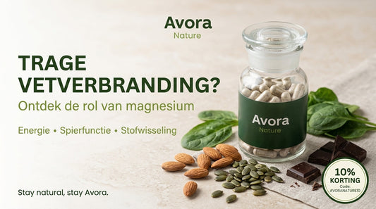 🌿 Trage vetverbranding? Ontdek de belangrijke rol van magnesium bij je stofwisseling