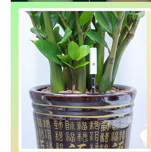 Soil Moisture Meter: nooit meer gokken met water geven