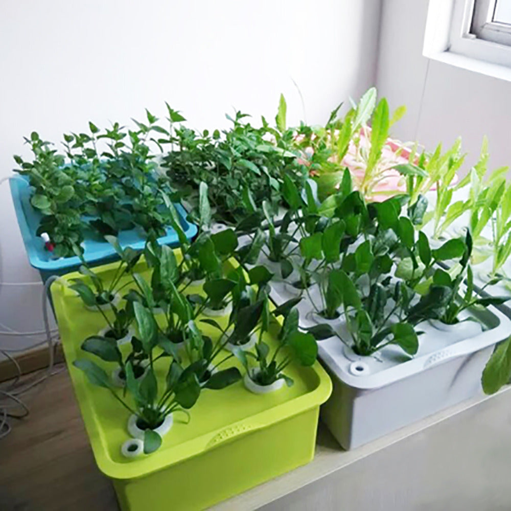 Hydroponics zonder aarde: 24 plantplaatsen voor een clean, efficiënt kweekritme