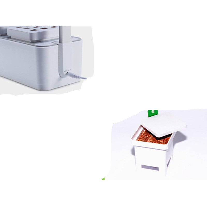 Avora Plant Care Essential