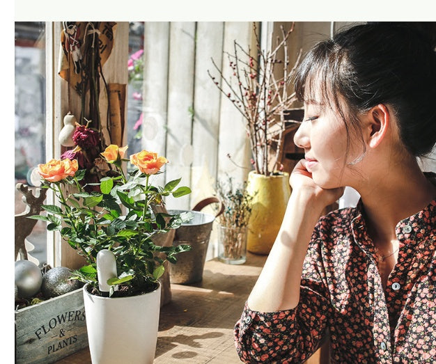 Avora Monitor™ – Slimme Plant Sensor voor Water, Bodem & Voeding