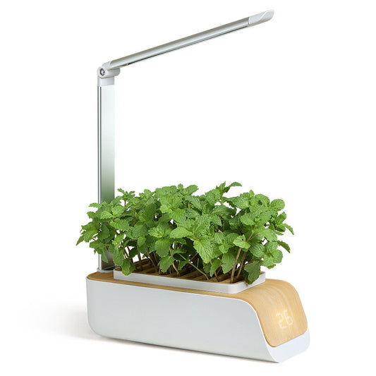 LED Bureau Lamp met Hydrocultuur