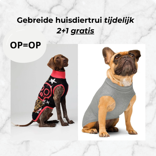 Gebreide huisdiertrui