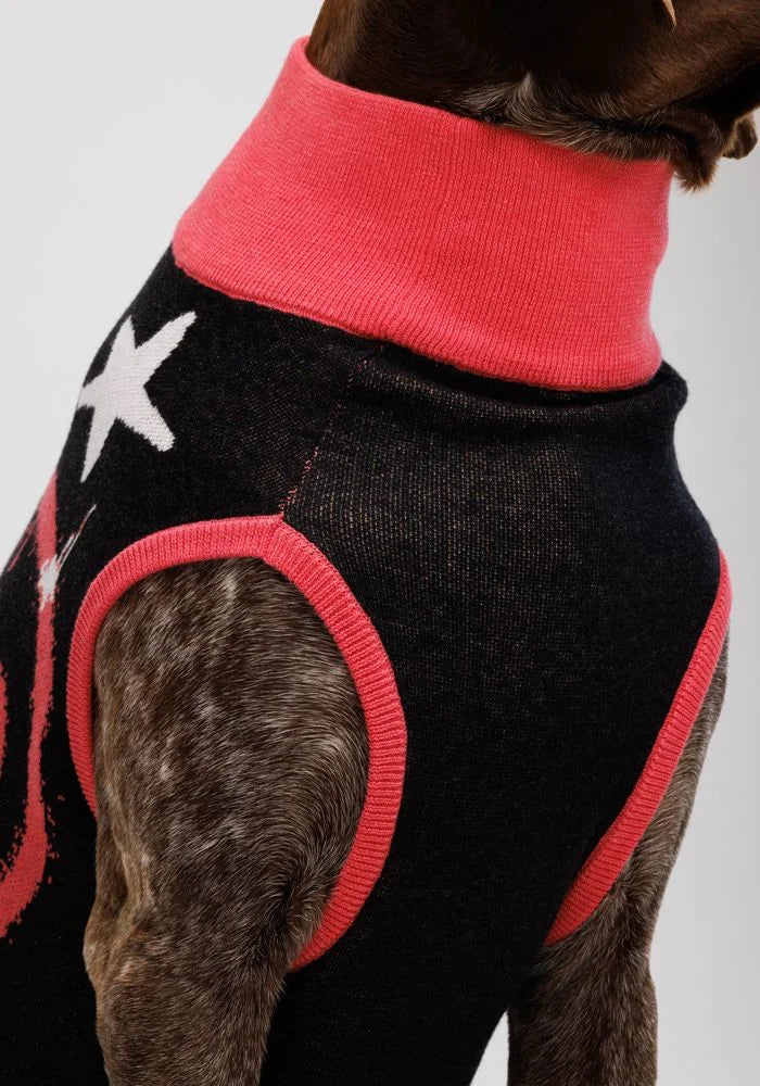 Gebreide huisdiertrui