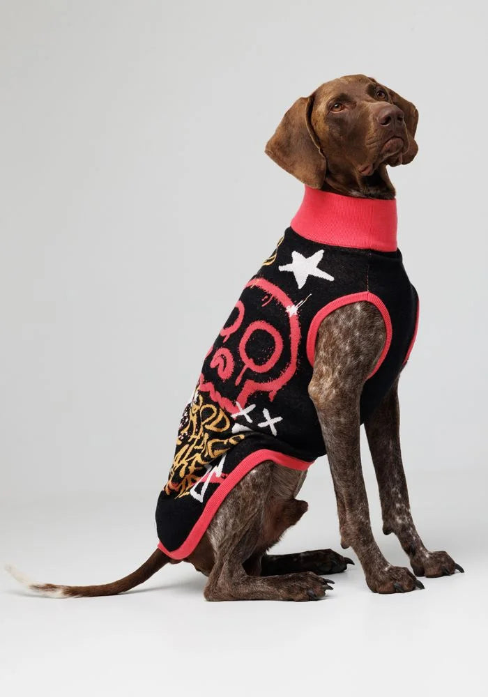 Gebreide huisdiertrui